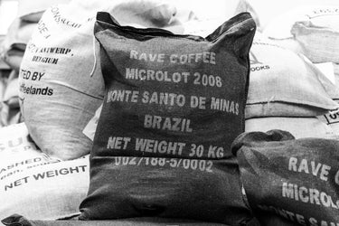 Green Coffee Beans